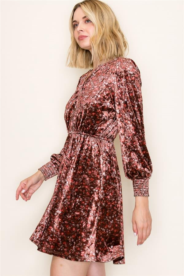 Velvet Floral Print Dress