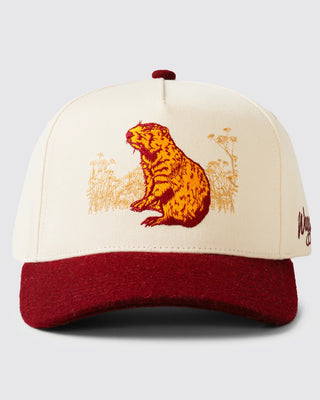 Waggle Hole Monitor Wool Brim Golf Hat