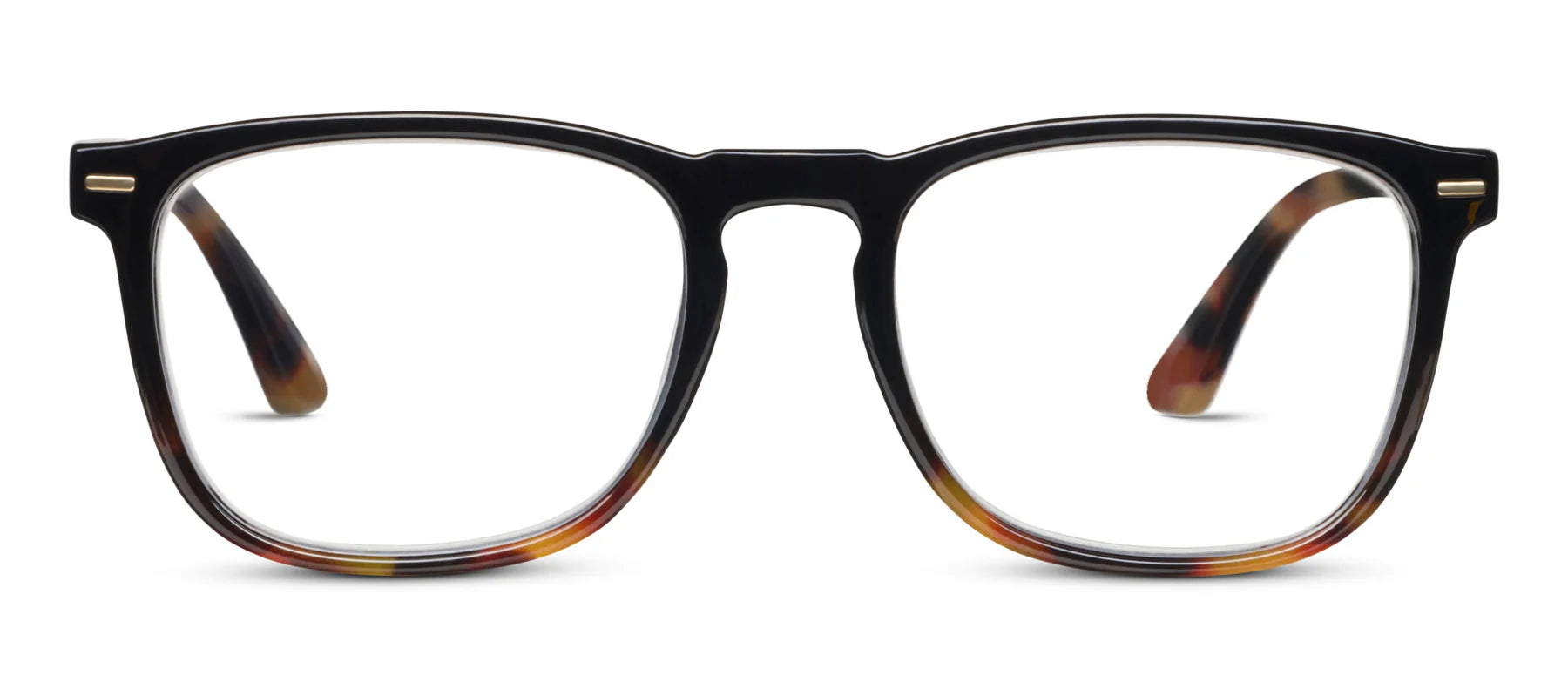 Peepers Domino Blue Light Reading Glasses – Black Tortoise