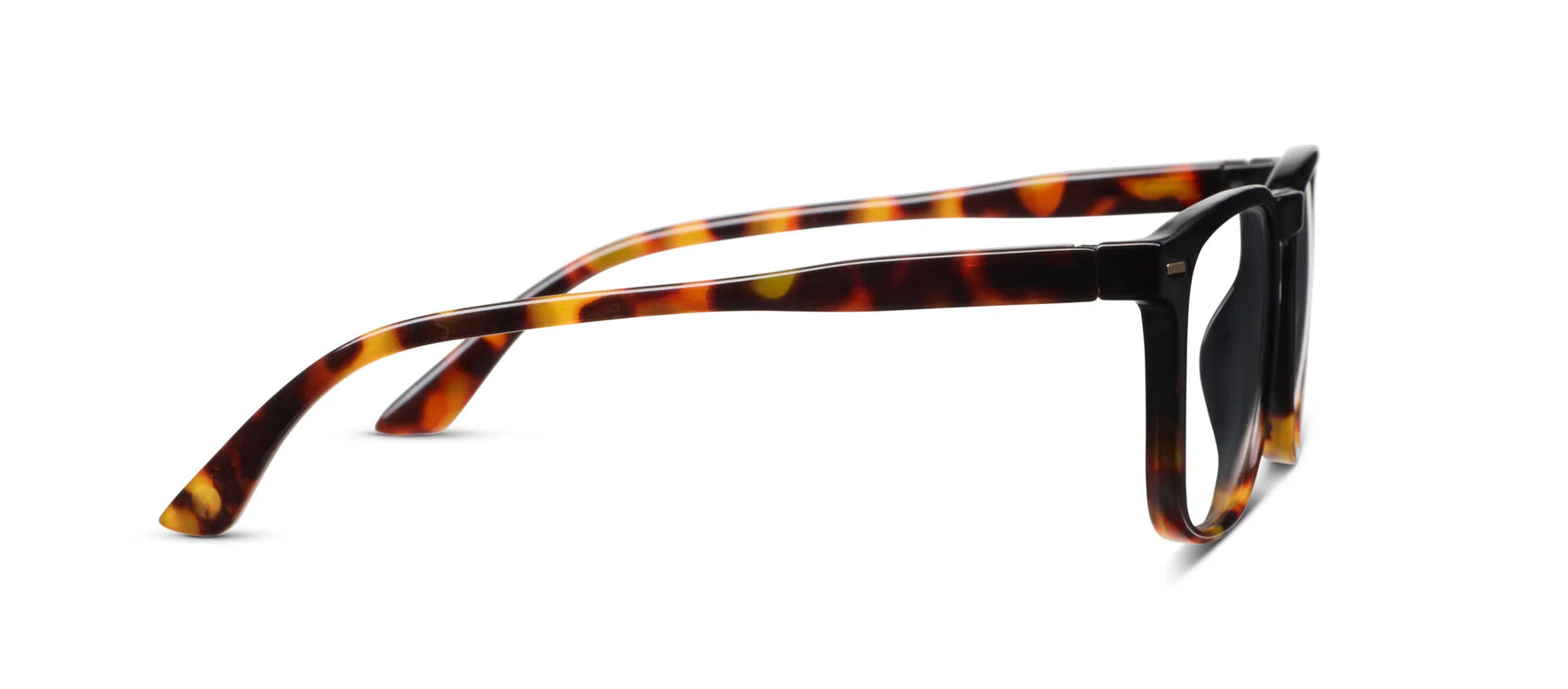 Peepers Domino Blue Light Reading Glasses – Black Tortoise