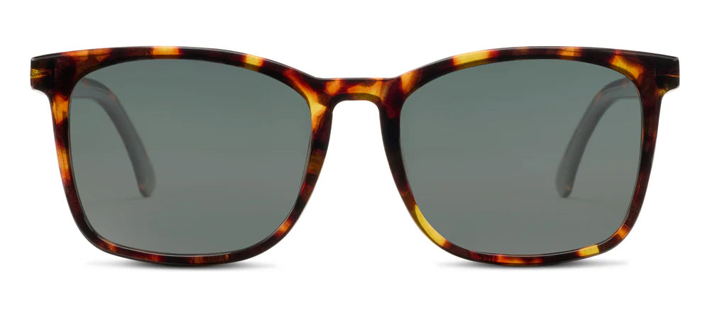 Peepers Mateo Polarized Sunglasses – Tortoise