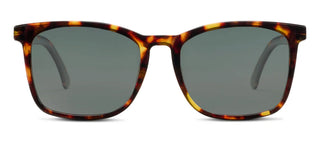 Peepers Mateo Polarized Sunglasses – Tortoise