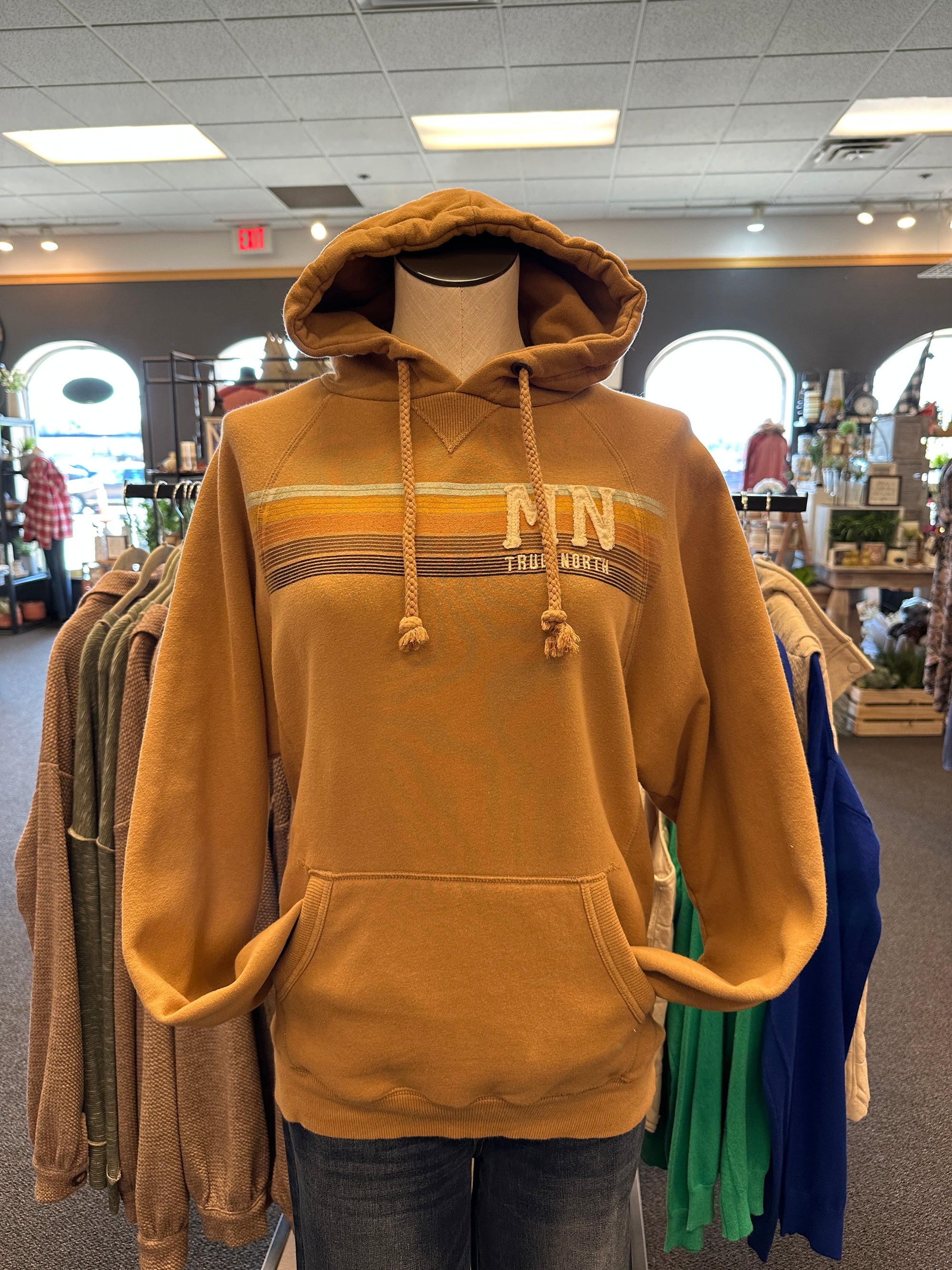 Retro Stripe MN True North Hoodie