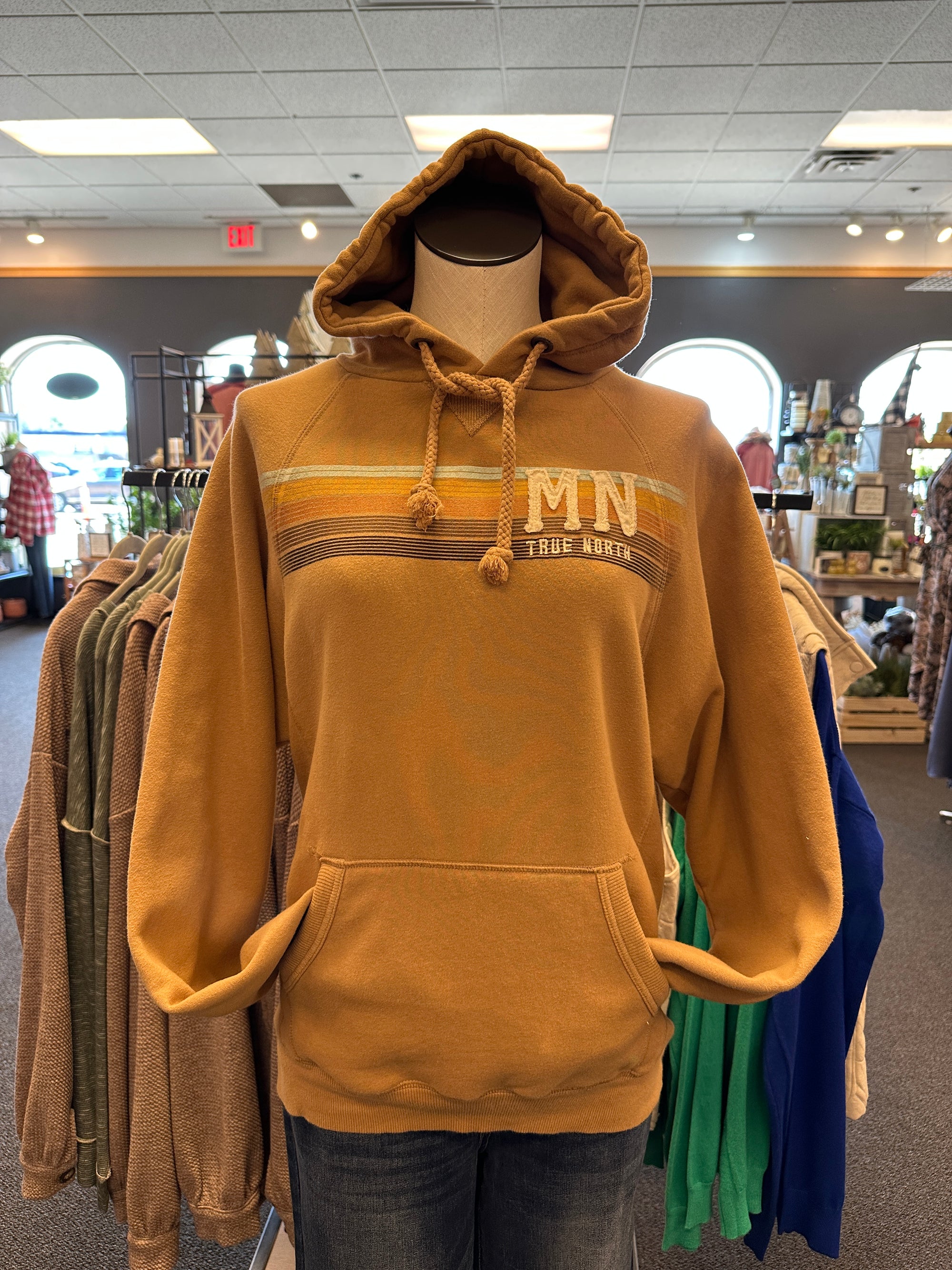 Retro Stripe MN True North Hoodie