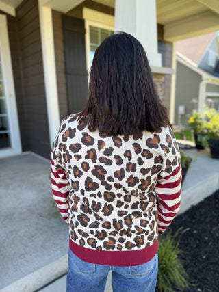 Women's Leopard Print Stripe Color Block Cardigan