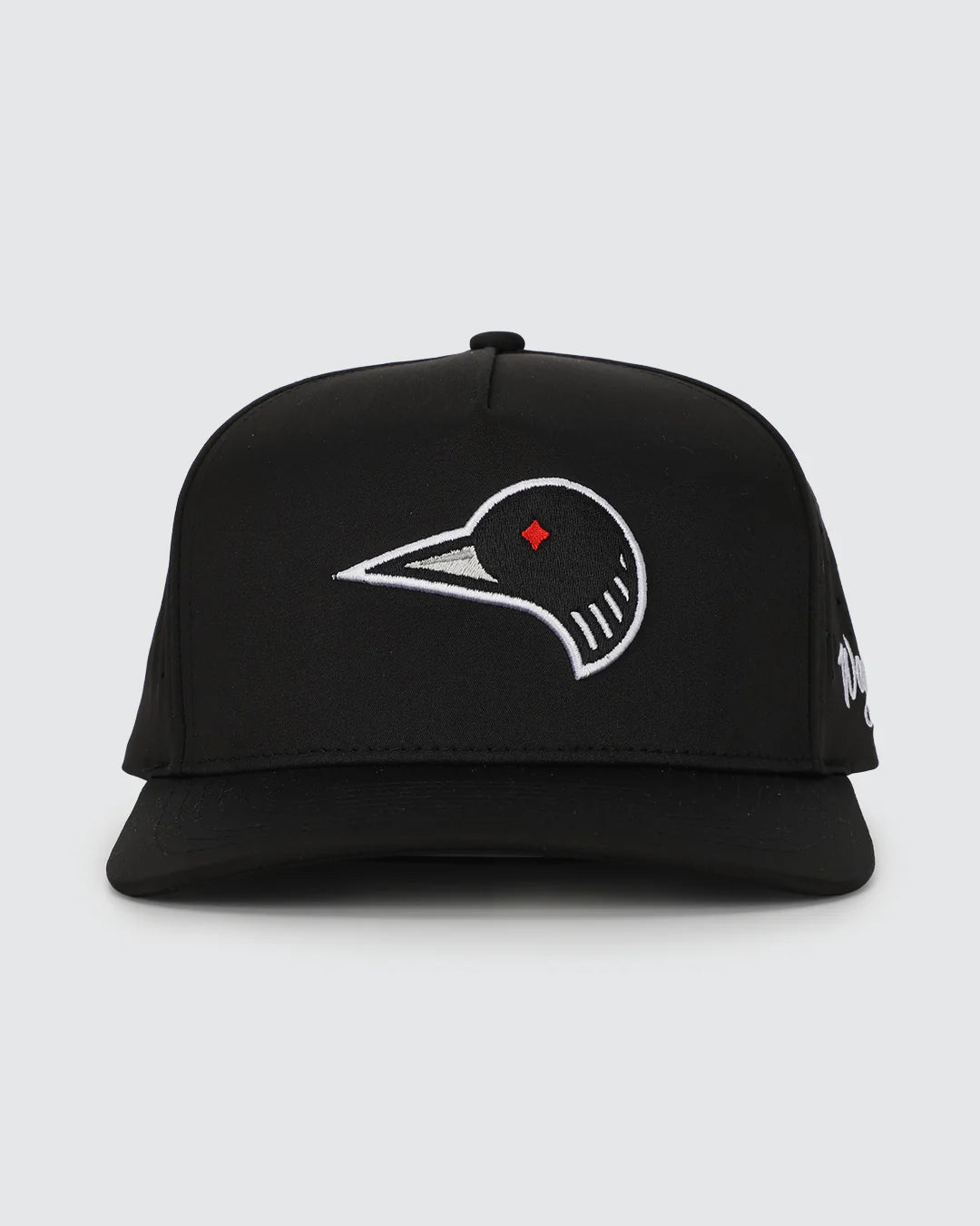 Waggle Loon Lake 2.0 Hat - Black