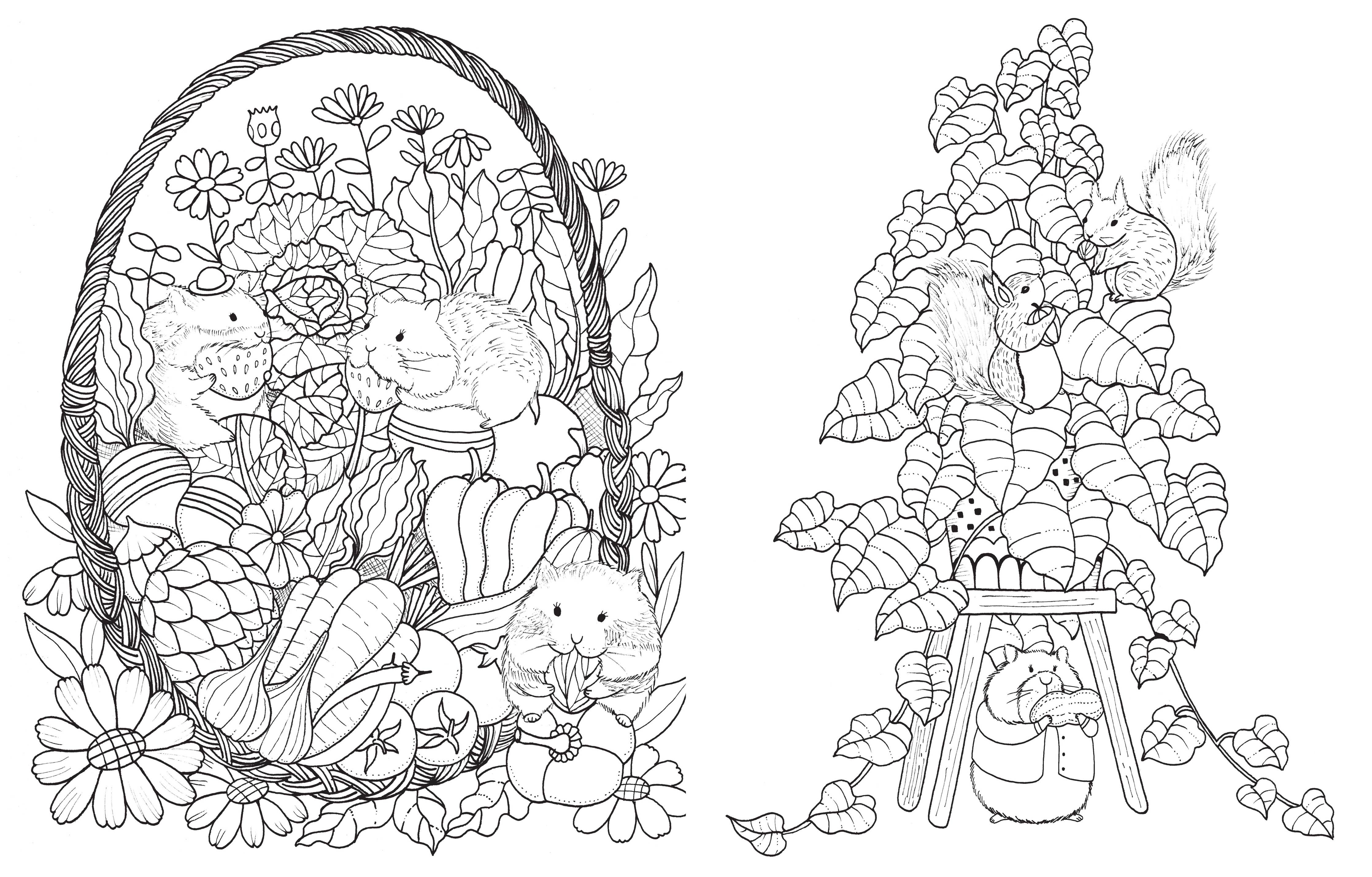 Inside coloring page from  A Million Cute Animals Coloring Book by Lulu Mayo featuring adorable illustrated woodland animals, birds, rabbits, foxes, and flowers.