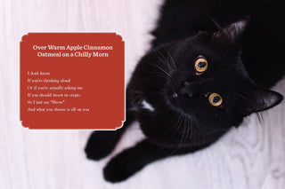 Cancel Your Plans: Cozy Poems by Cats