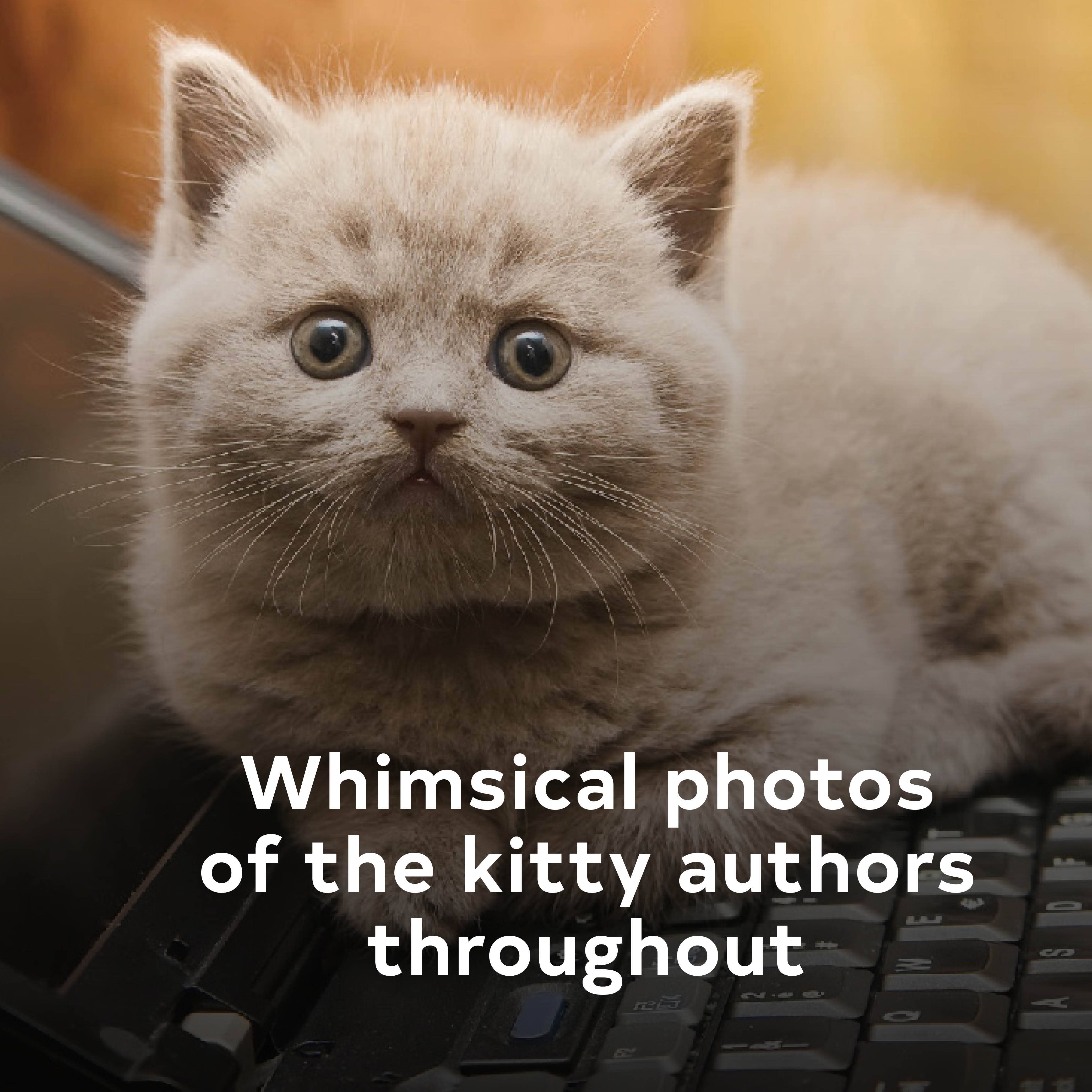 I Could Pee on This Poems by Cats