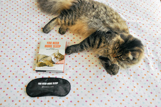 You Need More Sleep: Advice from Cats