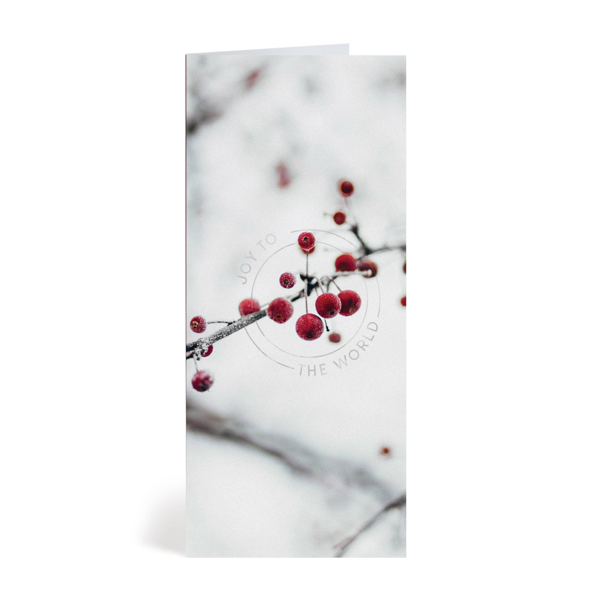 Very Berry Christmas Greeting Card