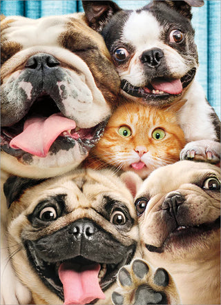 Birthday Greeting Card Dog & Cat Photo Booth Fun