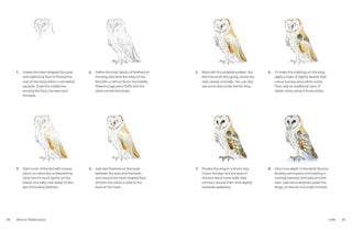 Birds in Watercolour: A Drawing & Painting Guide | Sofia Gazarian