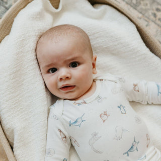 Arctic Wonder Long-Sleeve Baby Bodysuit