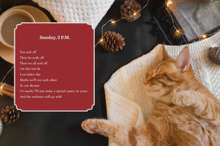 Cancel Your Plans: Cozy Poems by Cats