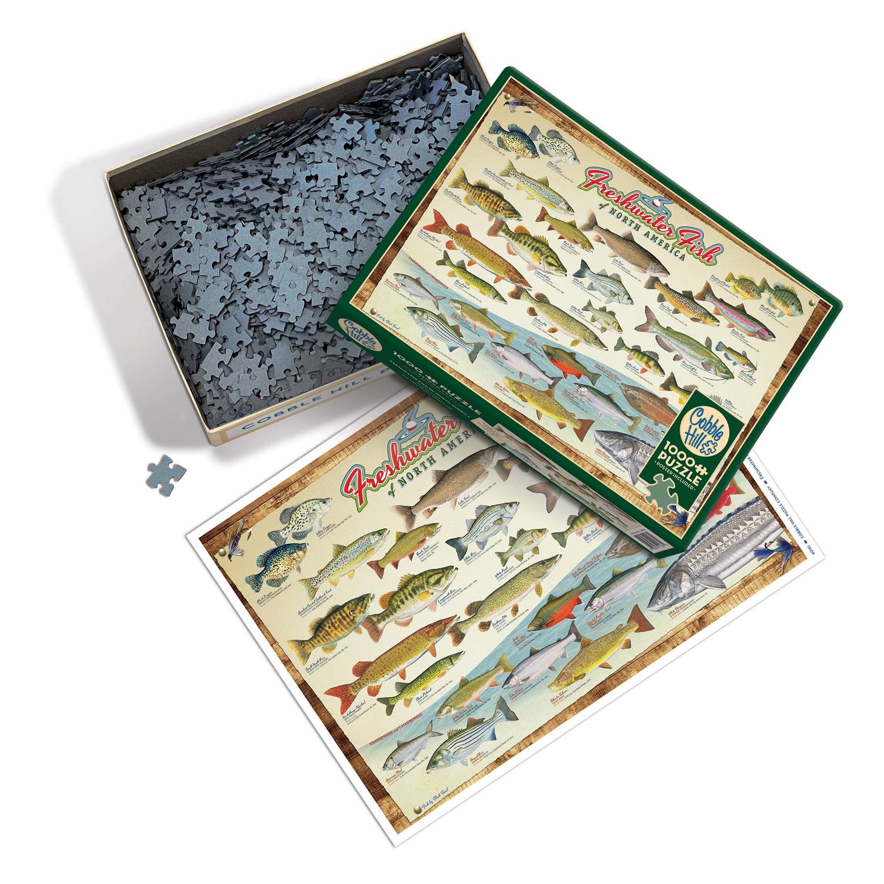 Freshwater Fish of North America 1000pc Puzzle