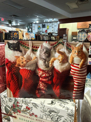 Kittens in Stockings Christmas Greeting Card