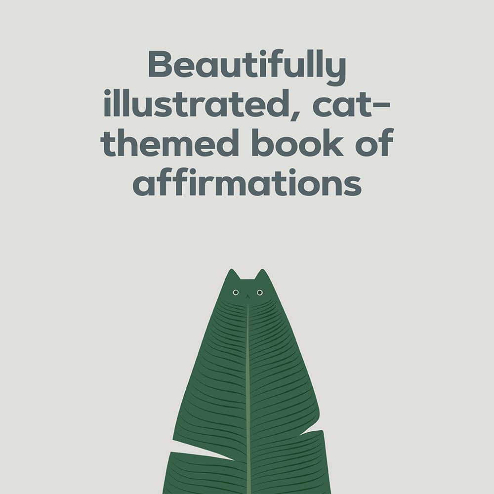 Sample page of Catffirmations book featuring cat-inspired affirmations, hidden cats, and mindful mantras with colorful minimalist artwork