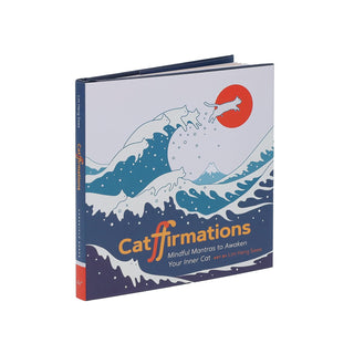Catffirmations book featuring cat-inspired affirmations, hidden cats, and mindful mantras with colorful minimalist artwork