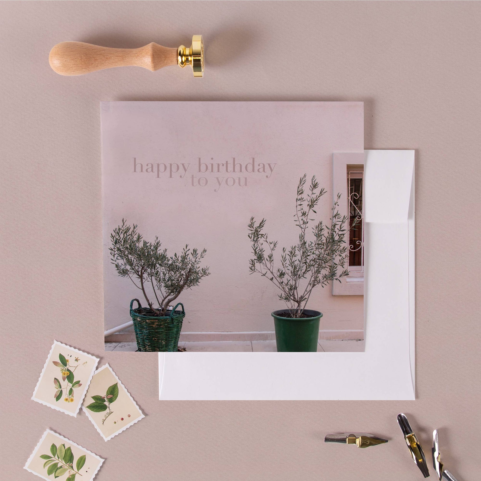 Olive Trees Birthday Card