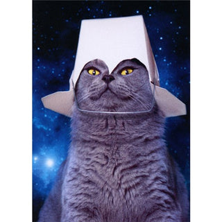 Birthday Greeting Card Cat w/ Take Out