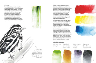 Birds in Watercolour: A Drawing & Painting Guide | Sofia Gazarian