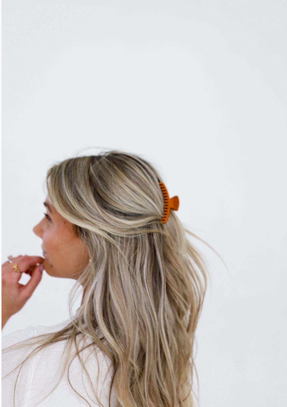 Matte Mini Hold Everything Claw Clip