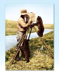 Photographer and Bear Cub Encouragement