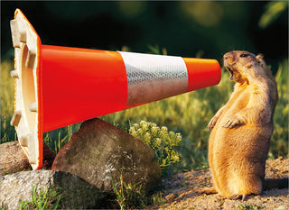 Greeting Card Groundhog Construction Cone