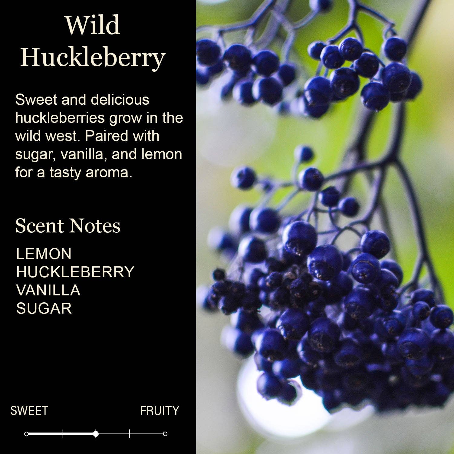 Funny Candle Would Poop Here Again