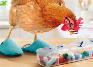 Birthday Card Chicken w/ Pill Box