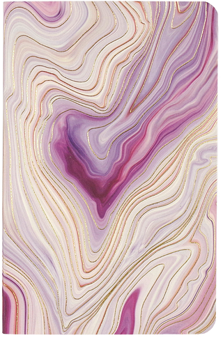 Jotter Mini Notebook Set: Agate