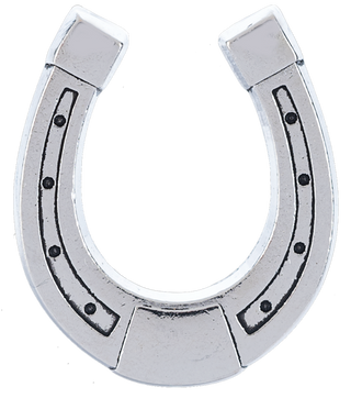 The Lucky Little Horseshoe Charm
