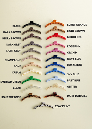Shiny Original Hold Everything Claw Clip