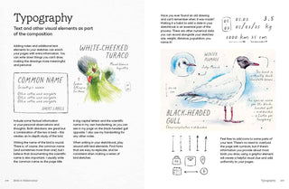 Birds in Watercolour: A Drawing & Painting Guide | Sofia Gazarian