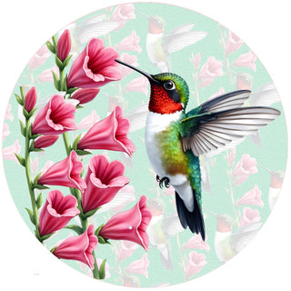 Foxglove Hummingbird Silicone Jar Opener by Andréas — round flexible silicone disc featuring a ruby-throated hummingbird with iridescent green and teal feathers hovering beside a tall stem of vibrant pink foxglove blooms on a soft mint green background