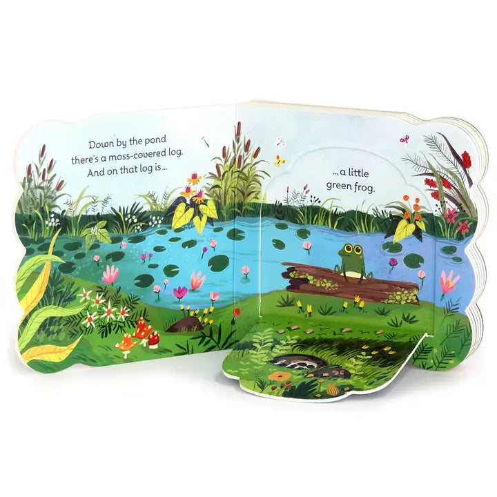 Little Green Frog Board Book