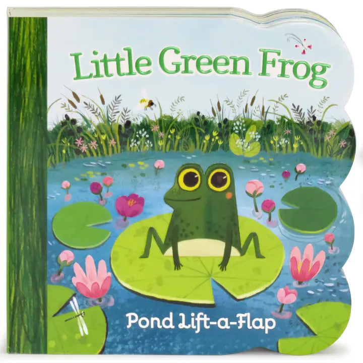 Little Green Frog Board Book