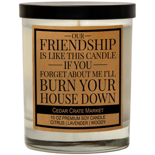 Our Friendship Is Like This Candle by Cedar Crate Market — a 13.5 oz citrus, lavender, and woody soy candle with 60+ hour burn time, hand poured in Minnetonka, MN

