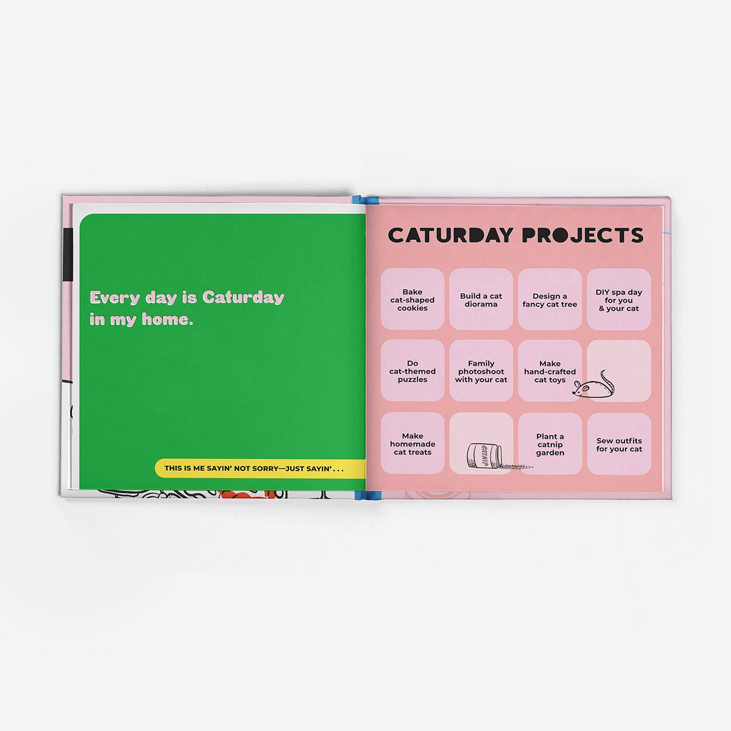 Inside page of Hardcover "I'm a Cat Lady, Sorry Not Sorry" humor book featuring a funny illustrated cat and celebrating cat lovers.