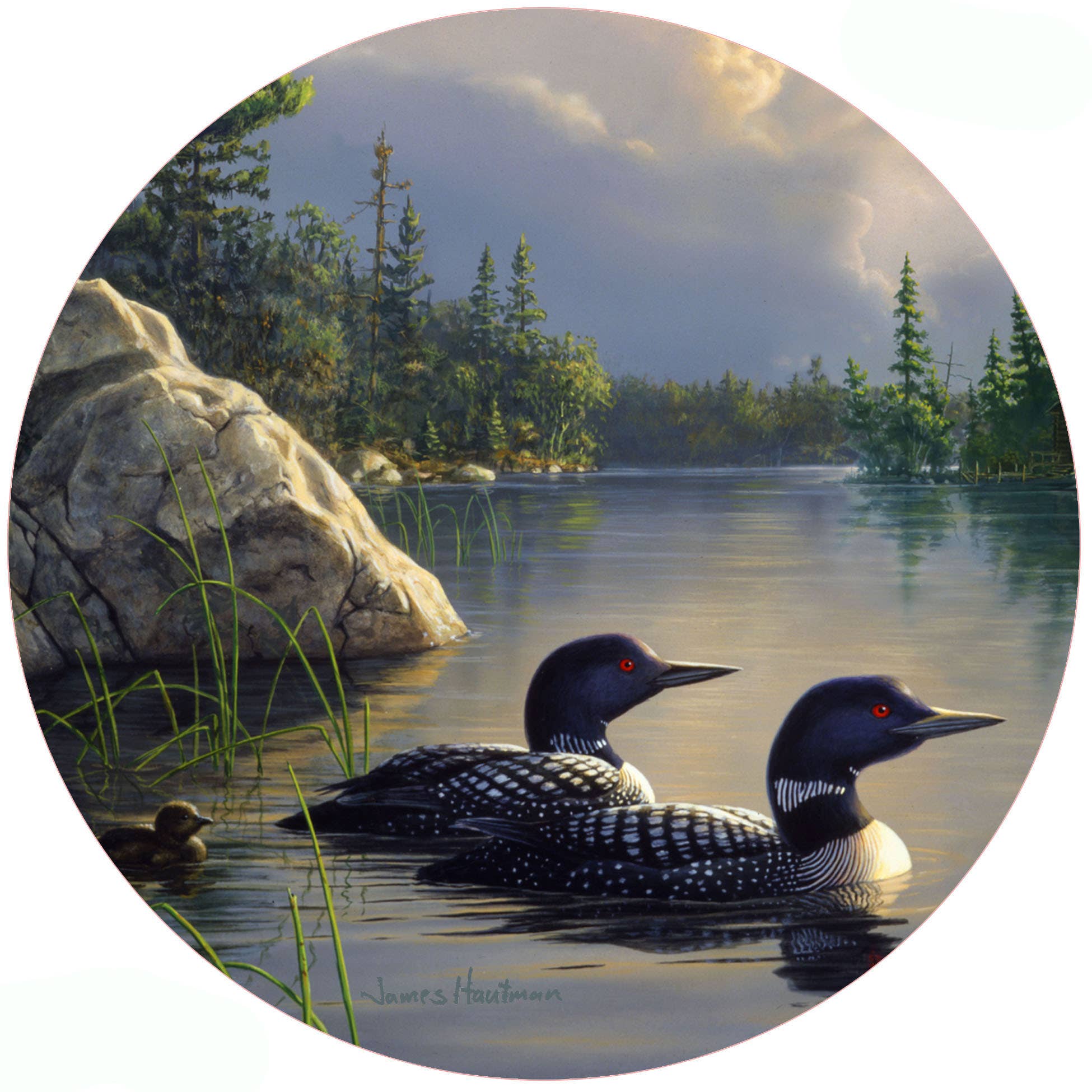 Loon design silicone jar opener featuring a pair of loons swimming on a peaceful northern lake surrounded by pine trees