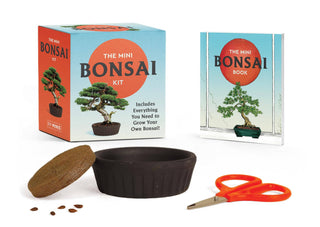 mini bonsai tree kit with pot seeds and tools