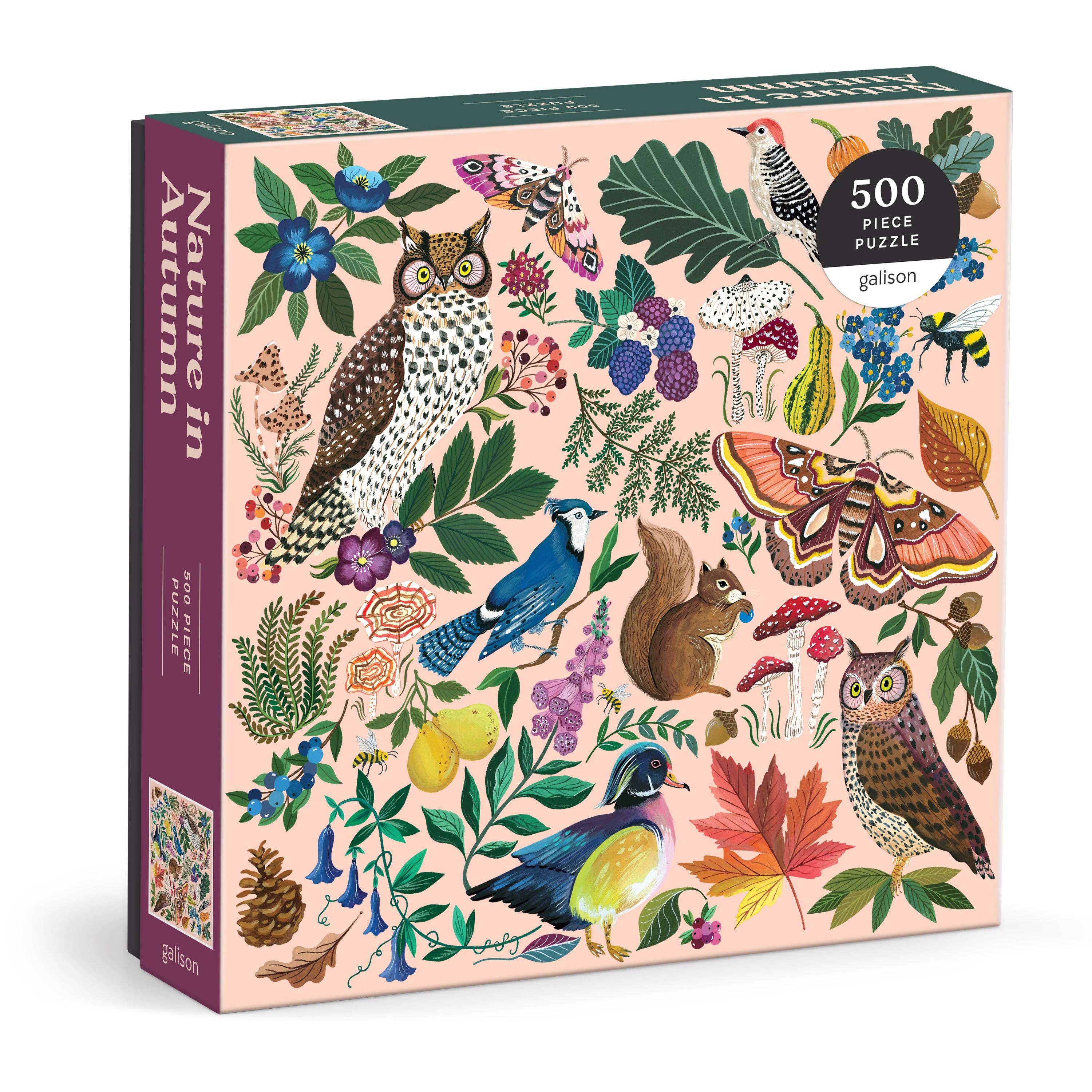 Nature in Autumn 500-piece puzzle by Galison — a vibrant visual glossary of fall flora, fauna, animals, and insects in autumn colors, published by Chronicle Books
