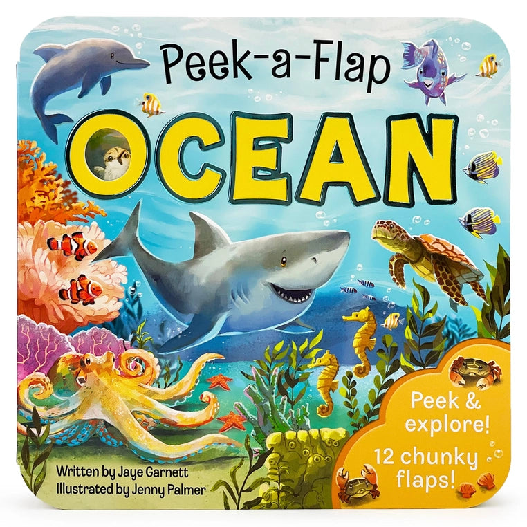 Peek A Flap Ocean Book