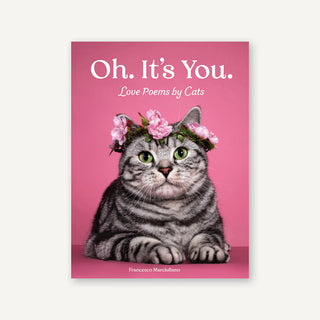Cover of Oh. It's You. Love Poems by Cats featuring a gray tabby cat wearing a pink flower crown against a pink background.