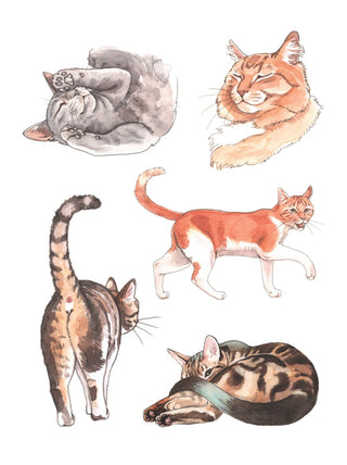 The Cat's Meow Sticker Book featuring over 100 colorful cat stickers illustrated by Megan Lynn Kott