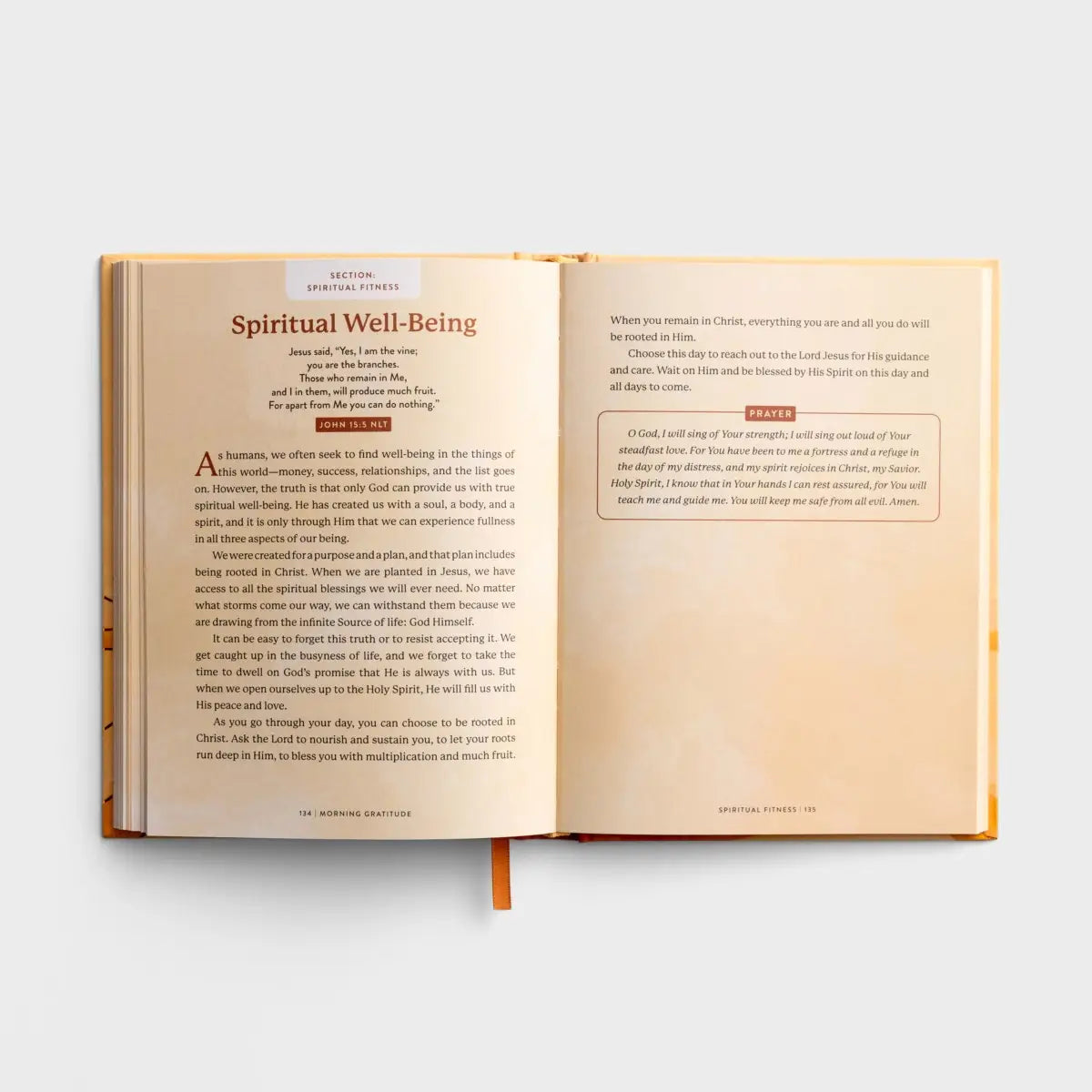 Morning Gratitude Book