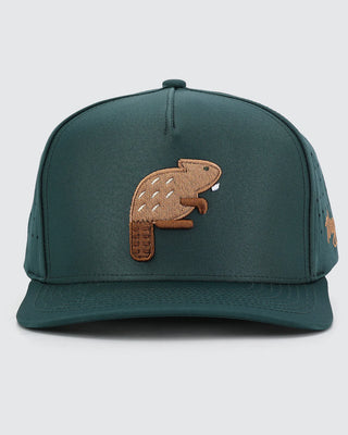 Waggle beaver snapback hat with embroidered beaver design