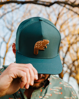 Man wearing Waggle beaver snapback hat with embroidered beaver design