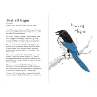 Dumb Birds Field Guide to Worst Birds Ever Book